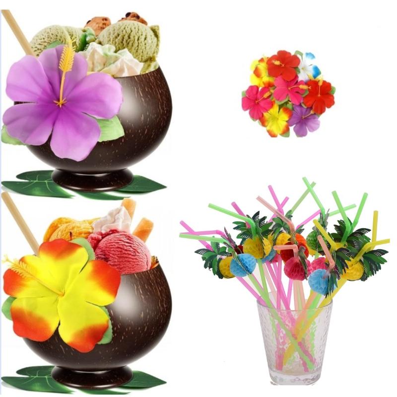 Natural Coconut Bowl Set Organ - Meal Prep Smoothies ulasan dan harga